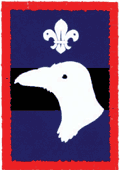 Raven patrol badge